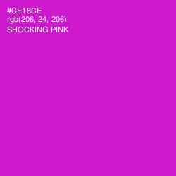 #CE18CE - Shocking Pink Color Image